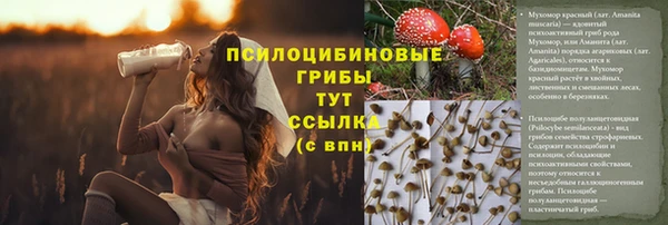 дживик Аркадак