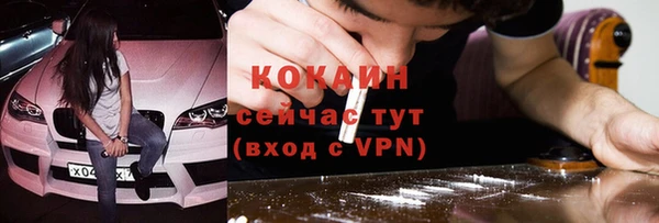дживик Аркадак