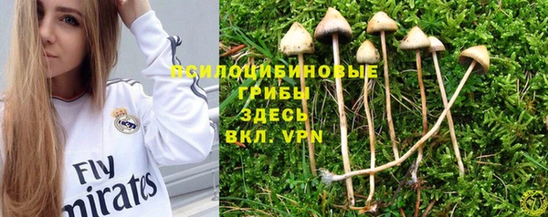 mdpv Арсеньев