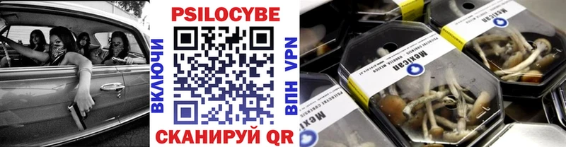 закладка  Тарко-Сале  Псилоцибиновые грибы мухоморы 